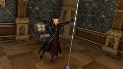 ff14 metal pole house|FFXIV: Pole Dancing Housing Item! .